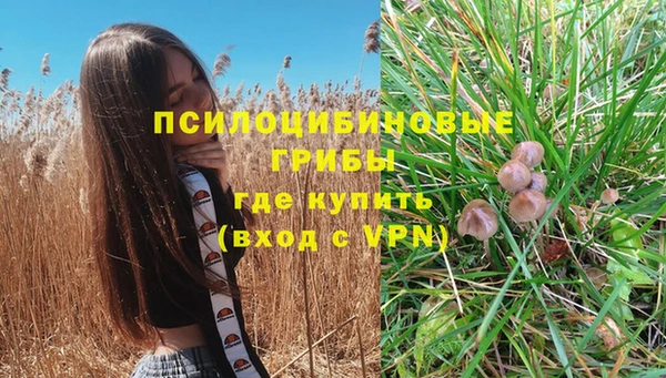 прущий лед Алексин