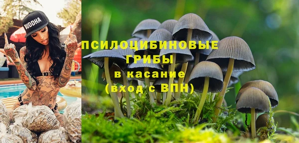 кокс Алзамай