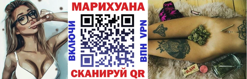 Бошки Шишки сатива Аргун